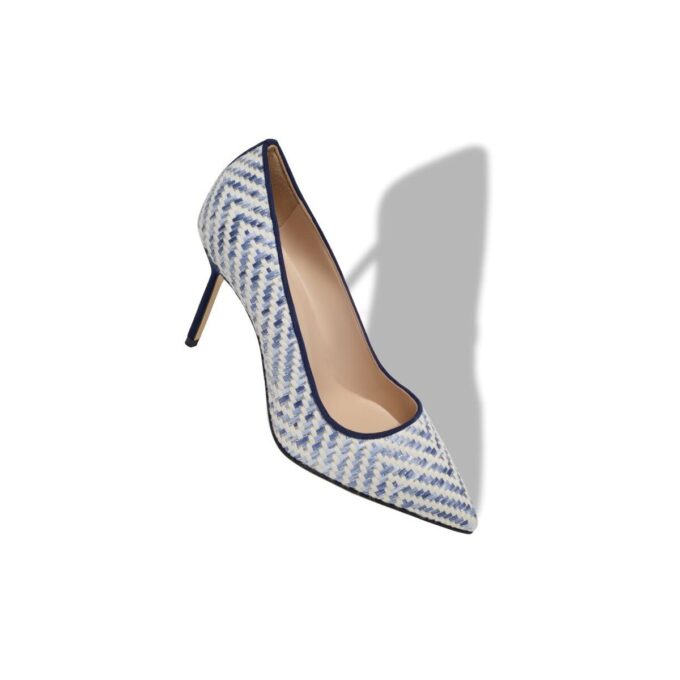 BB Navy Blue and White Raffia Pointed Toe Pumps